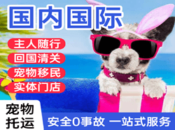 武汉机场快递国际宠物托运 【国